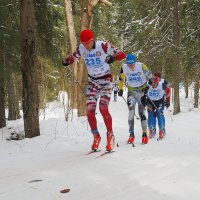 Про лыжные гонки :: Евгений Седов
