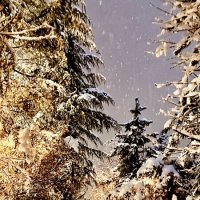 «Снежность. Прогулка в сумерках» :: Арина Невская