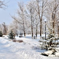 В старом зимнем парке. :: Восковых Анна Васильевна 