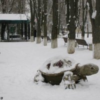 В зимнем парке :: Нина Бутко