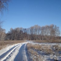 Зимняя дорога :: Татьяна Тюменка