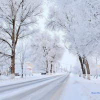 Раннее утро. :: Восковых Анна Васильевна 