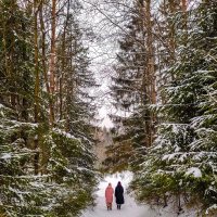 Прогулка :: Юля Жуковская