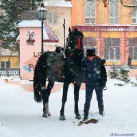 Что, предлагаешь снежком присыпать пока никто не видит? :-) :: Андрей Заломленков (настоящий) 