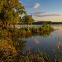 Половодье :: Владимир Жуков