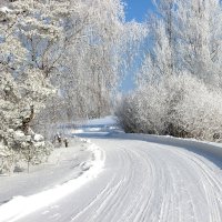 Зимняя дорога. :: ast62 