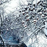 Снежный февраль :: Галина Бобкина