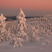 Вы когда-нибудь замечали как завораживающе прекрасен рассвет зимой? :: Ирина Нафаня