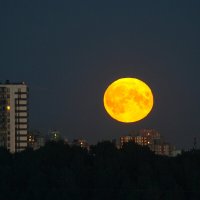 Луна на Просвещении :: Алексей Радченко