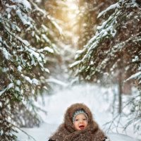 В сказочном лесу :: Елена Моисеева