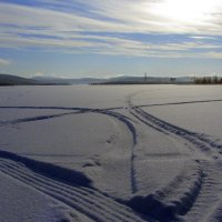 Следы на снегу.... :: Галина Полина