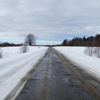 Дорога к горизонту (репортаж из поездок по области) :: Милешкин Владимир Алексеевич 