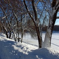 Зима в городе :: Игорь Белоногов