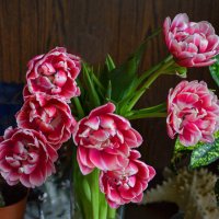 Пионовидные тюльпаны :: Oleg4618 Шутченко