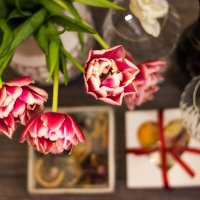 Тюльпаны цветы весны :: TATYANA PODYMA