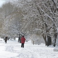Снегопад в начале марта :: Мария Васильева