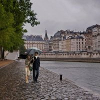 Париж. Прогулка  под дождем. :: Николай Рубцов