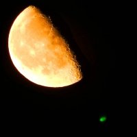 Луна - Антарес :: Alisa Koteva 