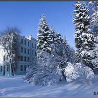 "Зима в городе." :: Александр Дмитриев