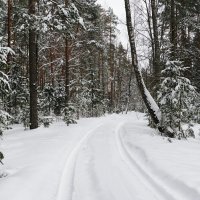 Проста такая нынче весна. :: Милешкин Владимир Алексеевич 