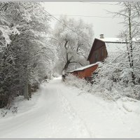 Зима в деревне. :: Владимир Попов