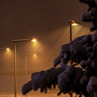 Снег :: Сергей Мартьяхин