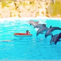 Девочка и дельфины. :: Лия ☼
