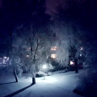 Выпал снег :: Мирон Покровский 