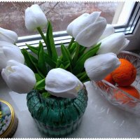 Белые тюльпаны :: Alisia La DEMA