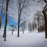 В зимнем парке... :: Сергей Кичигин