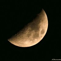 Луна принадлежит всем. каждый из нас имеет право на неё выть! :-) :: Андрей Заломленков (настоящий) 