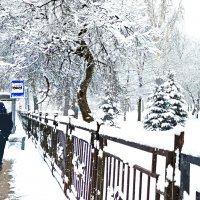 Снег идёт, и всё в смятеньи.. :: Ирина Румянцева