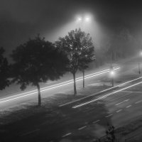 В тумане :: Alexander Andronik