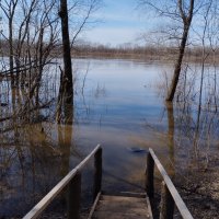 Весенний разлив реки :: Павел Петров