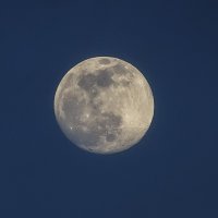 Луна вчера 5.04 :: Alexander Andronik