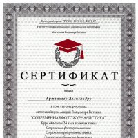 Сертификат :: Александр Артемьев