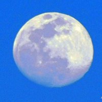 Луна в утренем небе. :: Валерьян Запорожченко