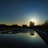 Снимок навстречу солнцу :: Андрей Лукьянов