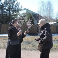 Бойкая торговля. :: Мария Васильева