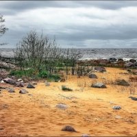 Vidzeme coast 13 :: Arturs Ancans