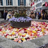 Пасхальные розы в фонтанах Цюриха Швейцария :: Galina Dzubina