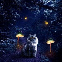 кошка Вика в сказочном лесу. :: Лёва Пиантковский 