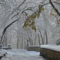 В парке заснеженном...... :: Юрий Цыплятников