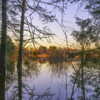 Деревья в воде :: Сергей Цветков