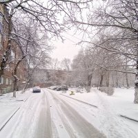 Зима вернулась :: Михаил Соколов
