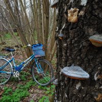 Примета апреля - велосипед :: Андрей Лукьянов