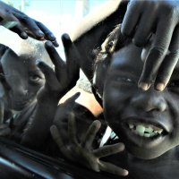 Дети Мадагаскара :: Игорь Матвеев 
