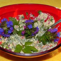 Весенний салат со снытью, черемшой и медуницей :: Андрей Заломленков (настоящий) 