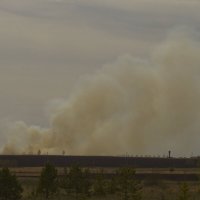 Апрельские возгорания :: Олег Денисов