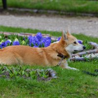 Фотосессия на пленэре ... )) :: Константин Анисимов